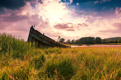 Scenic view of grassy field against sky during sunset