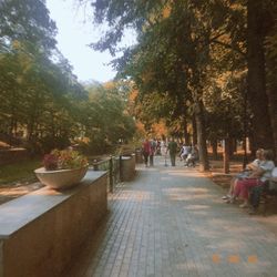 People sitting on footpath in park