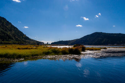 Scenic view of lake against blue sky