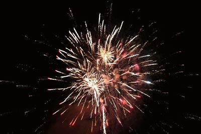 Low angle view of firework display at night