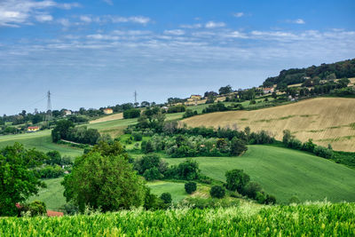 Scenic view of field against sky