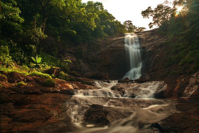 View of waterfall in forest