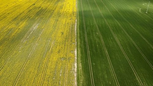 Full frame shot of agricultural field