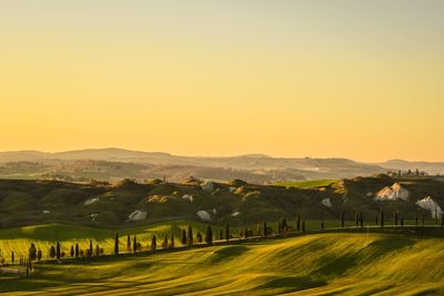 Scenic view of field against clear sky during sunset