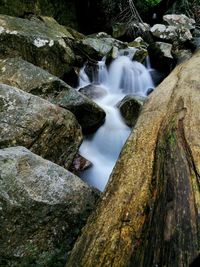 Scenic view of waterfall in forest