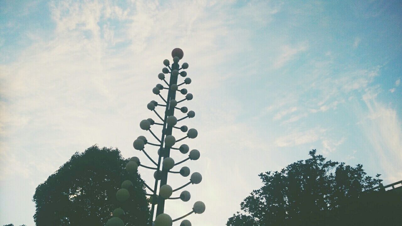 LOW ANGLE VIEW OF TREES AGAINST SKY