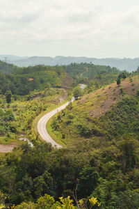 The winding road seen from the top of the hill