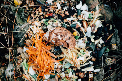 High angle view of compost