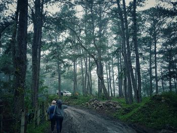 Rear view of man standing amidst trees in forest