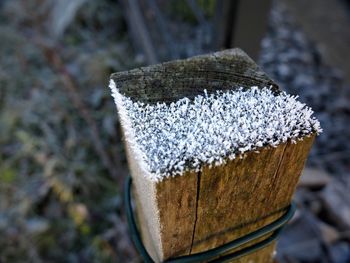 Close-up of snow on leaf