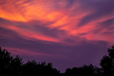 Low angle view of silhouette trees against dramatic sky