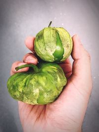 Cropped hand of person holding fruits