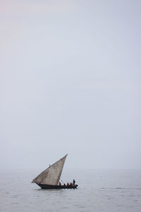 Sailboat sailing on sea against clear sky