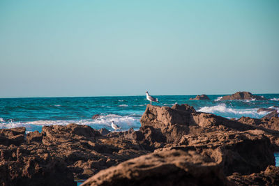 Rocks by sea against clear sky