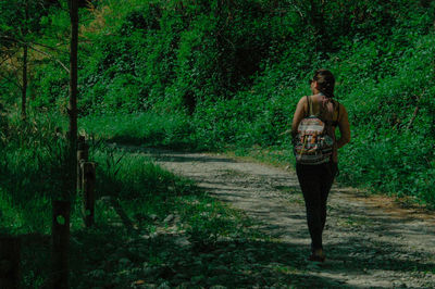 Full length rear view of backpack woman walking in forest