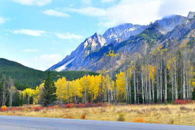 Scenic view of trees and mountains against sky