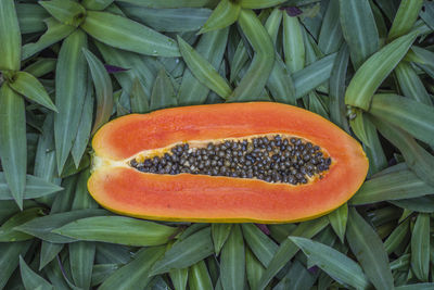 Ripe papaya, halved on the leaf surface.