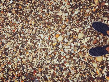 High angle view of shoes on pebbles