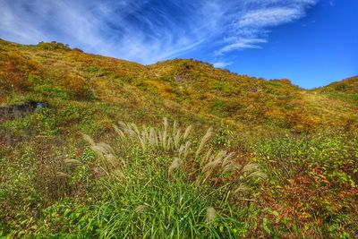 Low angle view of green hill against blue sky