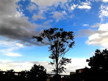 Low angle view of trees against cloudy sky