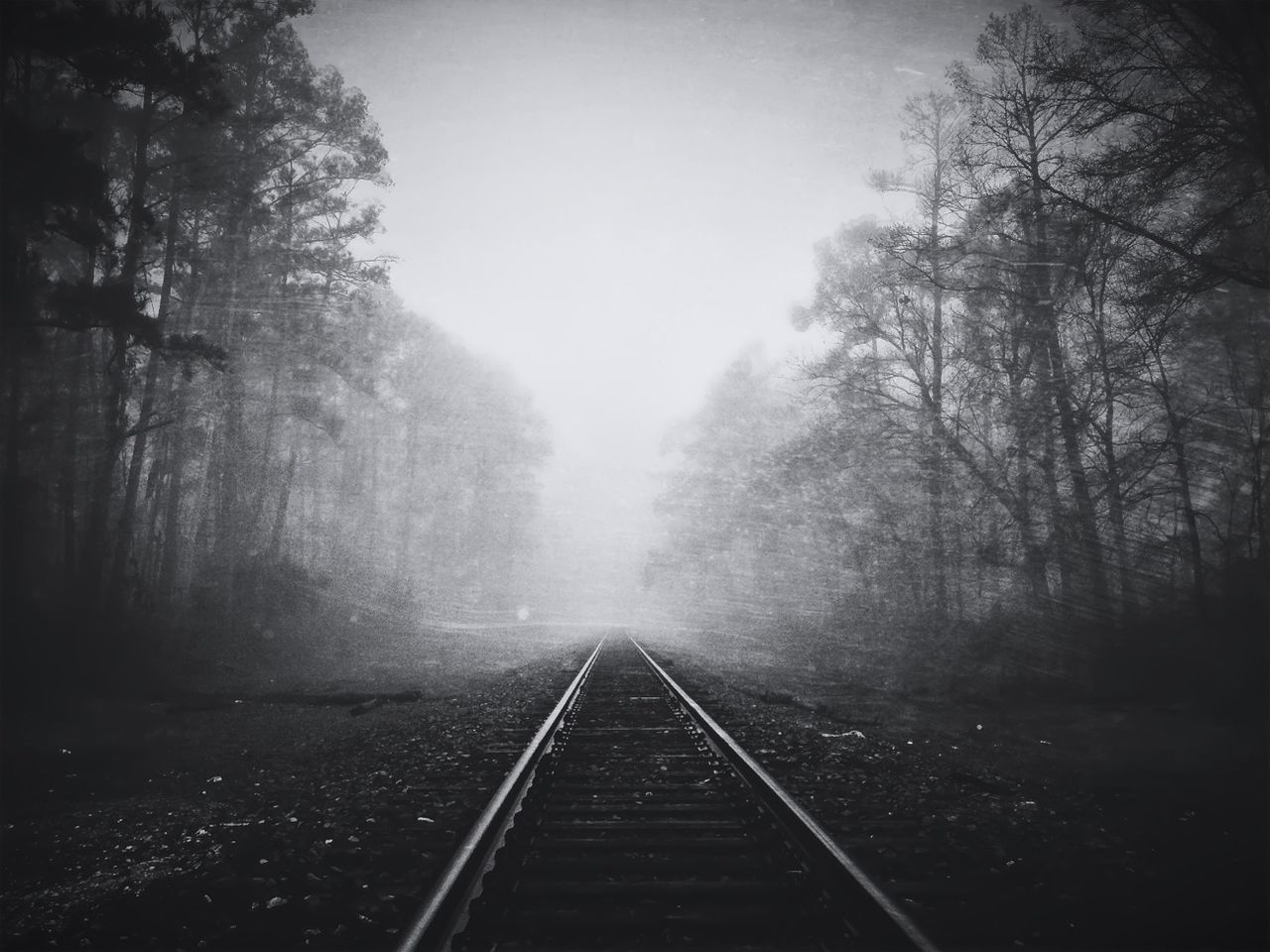 railroad track, the way forward, transportation, tree, rail transportation, diminishing perspective, vanishing point, sky, fog, forest, tranquility, railway track, nature, day, public transportation, tranquil scene, straight, outdoors, no people
