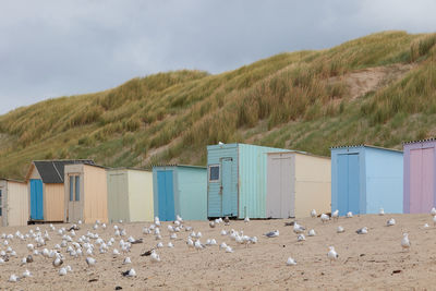 Beach huts in texel, the netherlands