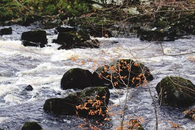 Close-up of rocks in water