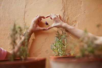 Cropped hand of man and woman making heart shape over flower against wall