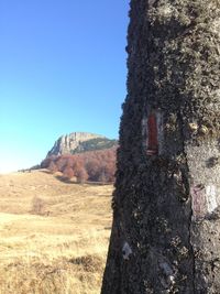 Scenic view of landscape against clear blue sky