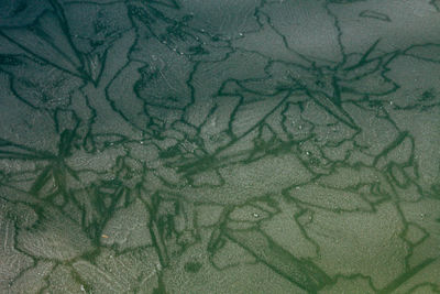 Full frame shot of frozen water
