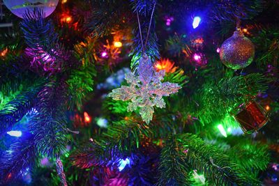 Illuminated christmas tree at night