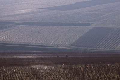 environment