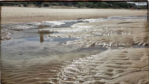 Reflection of trees in water