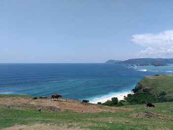 Scenic view of sea against sky