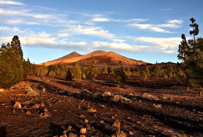 Scenic view of desert against sky