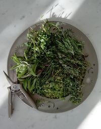 High angle view of leaves in bowl on table