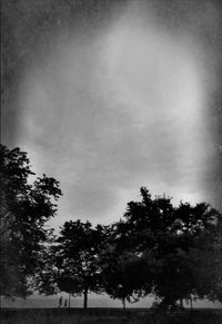 Low angle view of silhouette trees in forest against sky