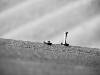 Close-up of nail on wooden surface