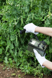 Cropped image of person using equipment while examining plants on field