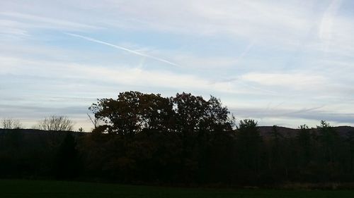 Silhouette trees on landscape against sky