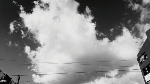 Low angle view of birds against sky