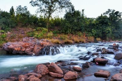 Stream flowing through rocks in forest