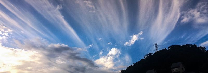 Low angle view of tree against sky