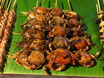 Close-up of serving crab on barbecue grill