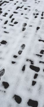 Full frame of snow covered tree