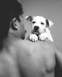 Rear view of shirtless man with dog on shoulder at home