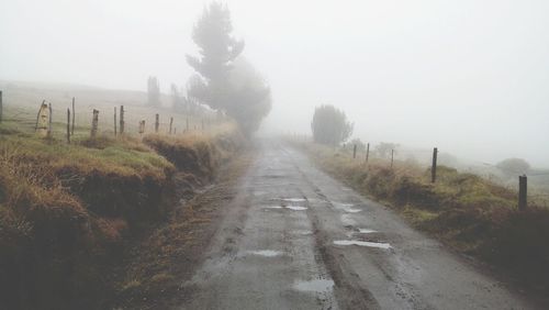 Road amidst trees against sky during foggy weather