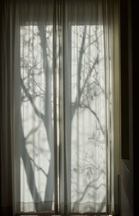 Close-up of curtain on window at home