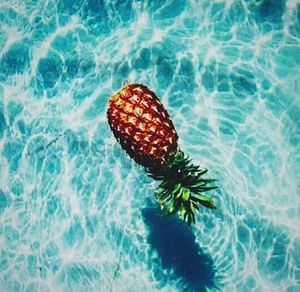 sea