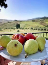 Close-up of apples in plate